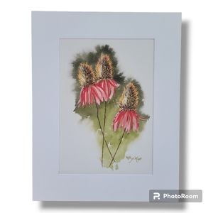 Cone Flower Original Watercolor. 7.5" x 11"